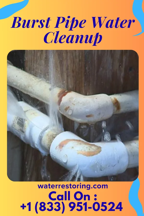 Burst Pipe Water Cleanup in Rutland, ND