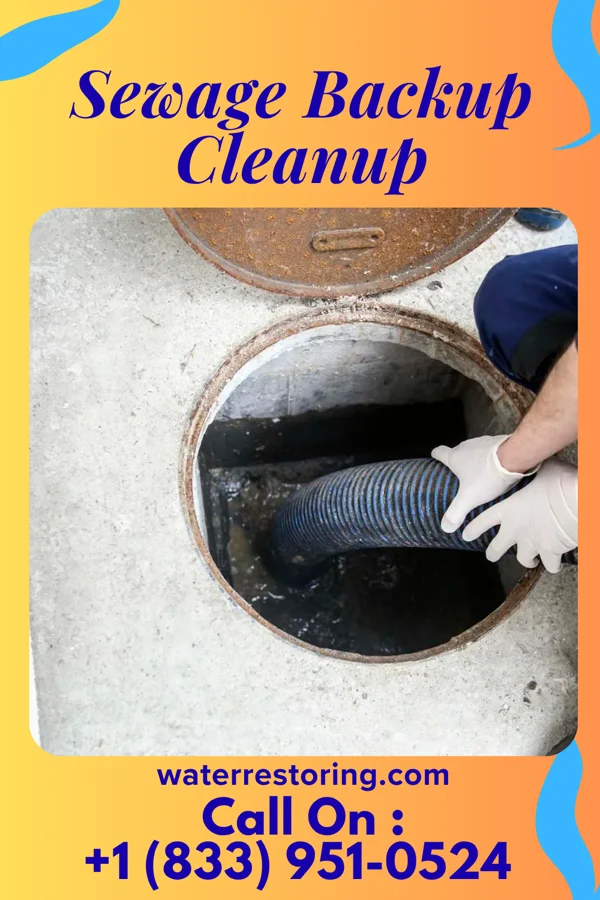 Sewage Backup Cleanup in Rutland, ND