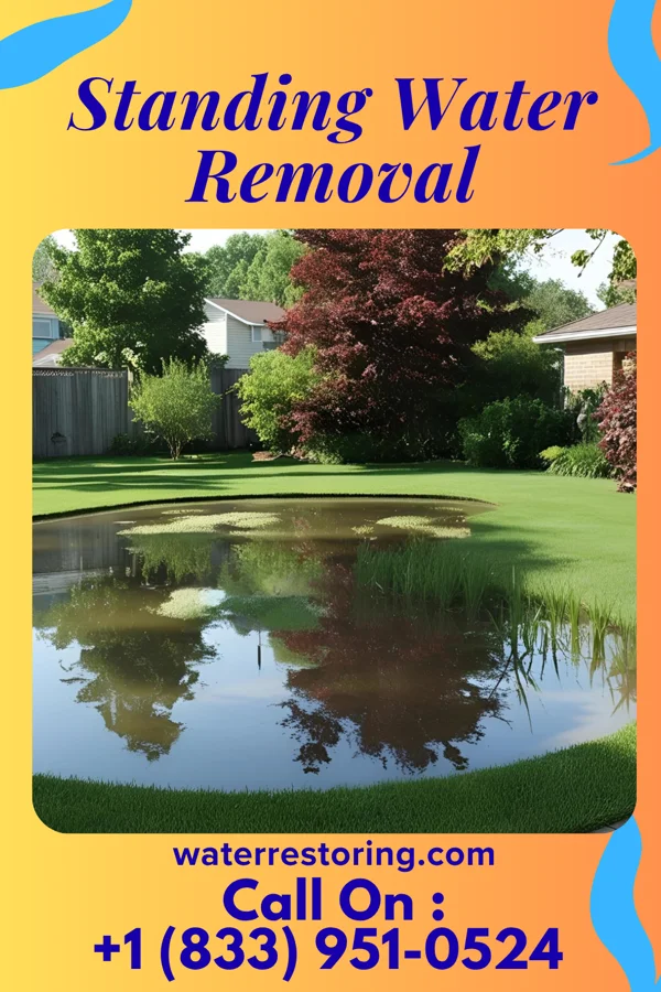 Standing Water Removal in Rutland, ND